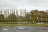 Cjp_2009_10_29_164731 (1).jpg